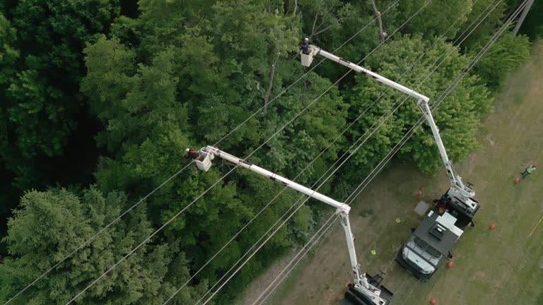 Best Utility Line Clearance  in Twin Lakes, VA